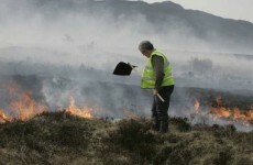 Fire chiefs warn that gorse blazes could continue into week
