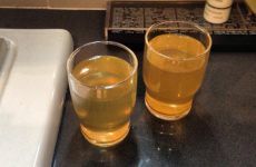 Sewage, strays and… is that what I think it is? There are nightmare travel stories coming from Sochi