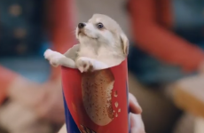 Have you seen the bizarre biscuit ad everyone's talking about?