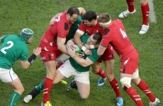 'Everyone has had a part to play' - Healy lauds Ireland's collective spirit