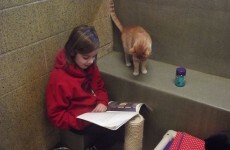 Children read aloud to cats in the most adorable book club ever
