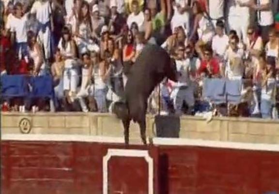 Dramatic Footage Shows Bull Jumping Into Crowd Video · The Daily Edge