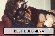 15 signs you think your pet is more important than a human