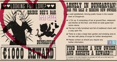 Irish pub posts lonely heart ad to find a new owner