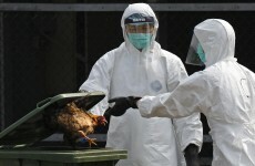 Fifth bird flu case reported in Hong Kong