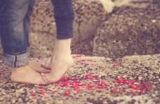 Column: It’s a dog-eat-dog world out there, so here are some tips before Valentine's Day