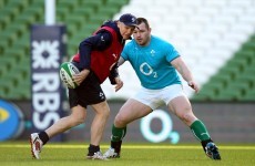Schmidt keeping close eye on Reddan, Ryan and Fitzgerald before 'toughest Test of all' in England