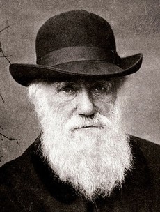 How did poor old Charles Darwin get dragged into the nation's storm coverage?