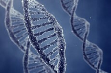Trinity researchers identify schizophrenia-causing genetic mutation