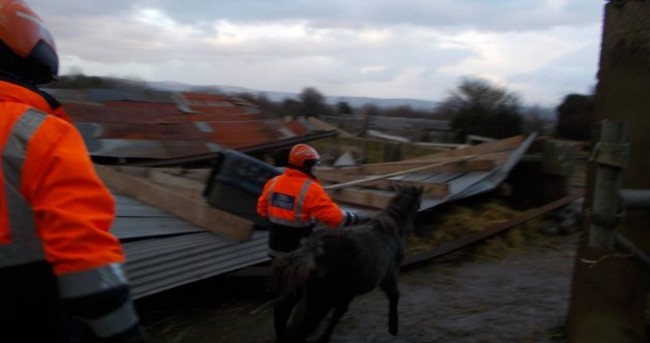 PICS: Horse sheds at animal sanctuary 'crushed like paper' in storm