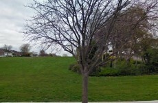 Gardaí appeal for witnesses after daylight sexual assault