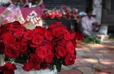 Poll: Do you celebrate Valentine's Day?