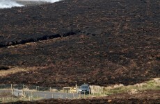 Fires cause €5 million worth of damage with 985 hectares of land destroyed