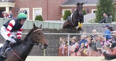 Seven injured as horse jumps into crowd at Victoria racetrack