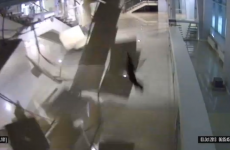Heroic cat falls through ceiling of Sochi skating arena, walks away