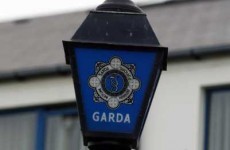 Two Gardaí hospitalised after motorway crash
