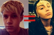 Niall Horan's new haircut makes him look a lot like Miley Cyrus... It's the Dredge