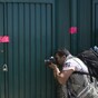 Poll: Should the bin Laden photos be released?