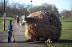 This mysterious giant hedgehog took over a London park this morning