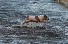 Storm damage, GSOC, childcare, and everything else happening in Leinster House today