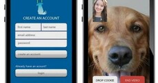 Weird Wide Web: Skyping with your dog, kiddie smartwatches and falling in love