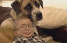 Heartwarming film documents bond between disabled boy and his three-legged dog