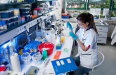 Want €175k? Good news if you're a woman scientist