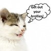 Your sneezing cat can predict* the weather