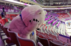 Sad Sochi bear is the symbol of Russia's ice hockey heartbreak