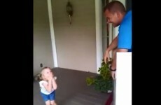 Little girl has no idea Dad is home from Afghanistan and hiding in a box