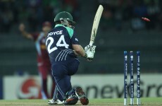 'It's nice we weren't celebrating as if we'd won the World Cup' - Ed Joyce on Ireland's West Indies win