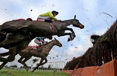 Tullow Tank to miss Cheltenham as trainer case adjourned
