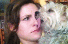 Redditors describe their first sexual experience… with a SFW gif