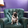 This research proves dogs make excellent therapists