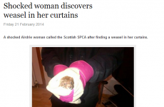 This Herald Scotland headline is the best one you'll see today
