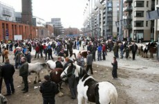 Gardaí make further arrest in Smithfield horse fair probe