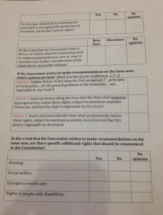 Here's the ballot paper the Constitutional Convention will vote on today