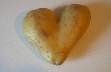 What does it take to be 'King of the Spuds'?