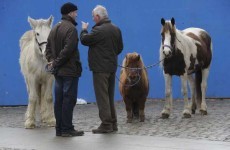 Man due in court over incident at Smithfield horse market