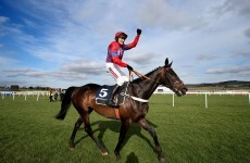 Sprinter Sacre to miss Cheltenham Festival