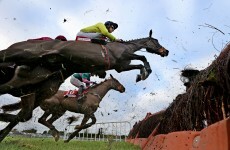 BHA to test Philip Fenton's Cheltenham horses before festival