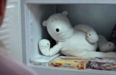 Polar bear from the Birds Eye ads... with a gas Irish accent
