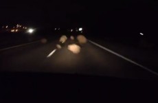 This terrifying tumbleweed video will give you nightmares