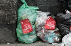 500 doors knocked on as Dublin litter crackdown targets landlords