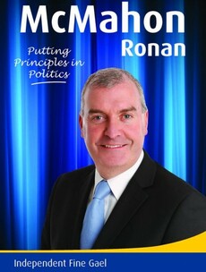 This local election candidate's 'Independent Fine Gael' leaflet is 'confusing' voters