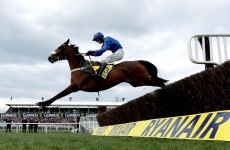 No Gold Cup bid as Cue Card the latest Cheltenham casualty