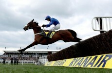No Gold Cup bid as Cue Card the latest Cheltenham casualty