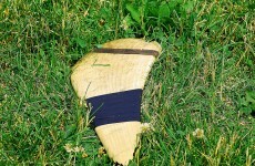 Do hurleys need special EU protection?
