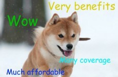 An official arm of the US government is tweeting doge memes