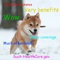 An official arm of the US government is tweeting doge memes